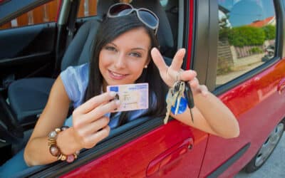 Can You Do A Background Check With A Drivers License Number?
